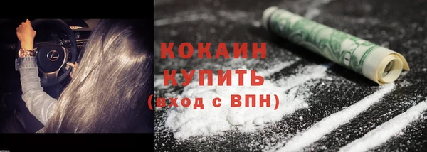 PSILOCYBIN Богданович