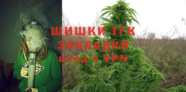 PSILOCYBIN Богданович