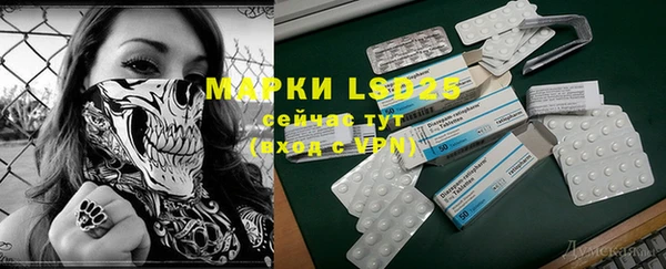 PSILOCYBIN Богданович