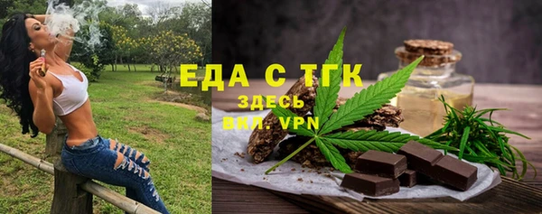 МДПВ Богородск