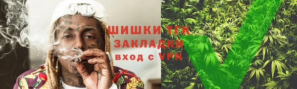 МДПВ Богородск