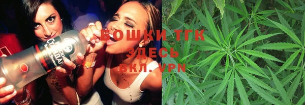 PSILOCYBIN Богданович