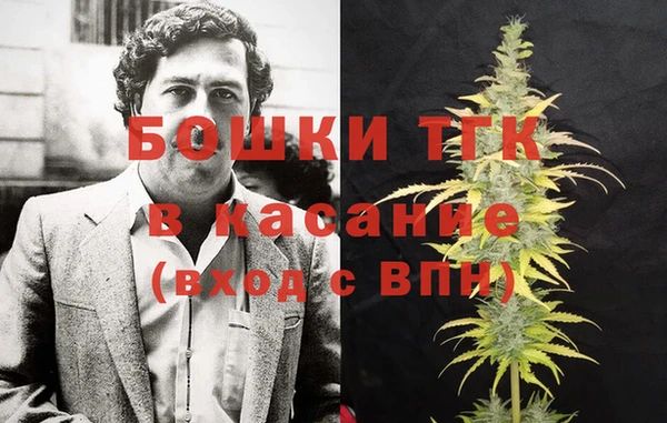 МДПВ Богородск