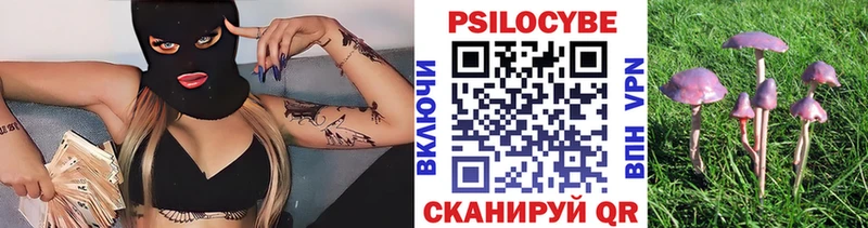 Псилоцибиновые грибы Psilocybine cubensis Купить где Краснотурьинск